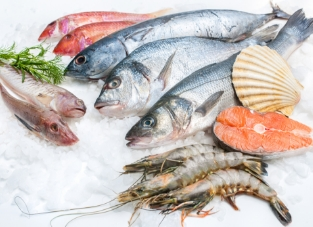 Frozen Seafood 